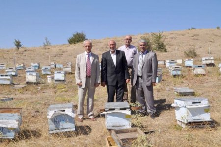 Bozok Yaylası'nda bal üretim bölgesi oluşturulacak