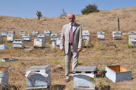 Bozok Yaylası'nda bal üretim bölgesi oluşturulacak