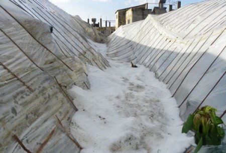 Bozyazı'da Dolu Seralara Zarar Verdi