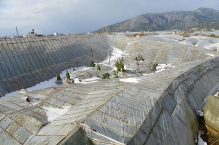 Bozyazı'da Dolu Seralara Zarar Verdi