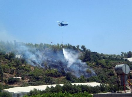 Bozyazı'da Orman Yangını