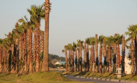 Bu Adada Sigara İçilmiyor