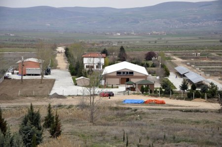 Bu balığın havyarının kilogramı 10 bin dolar