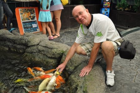 Bu balıklar biberon ile süt içiyor (Özel )