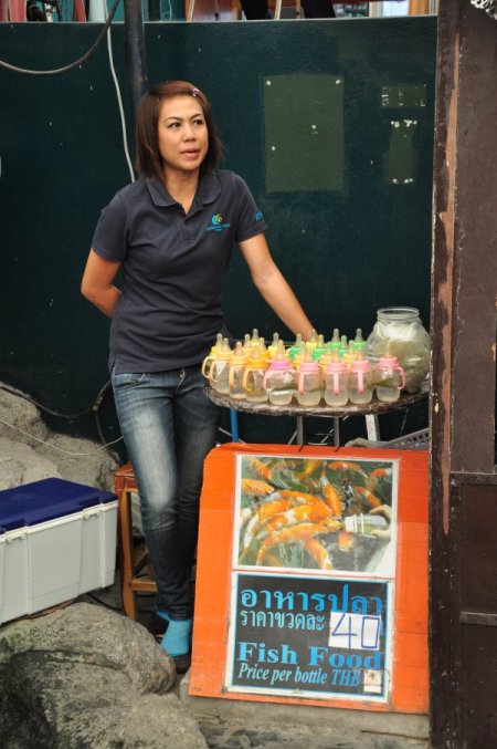 Bu balıklar biberon ile süt içiyor (Özel )