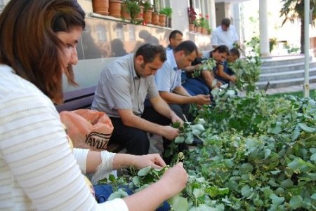 bu belediyedeki gelen misafirlere doğal ıhlmur ve kekik ikram ediliyor