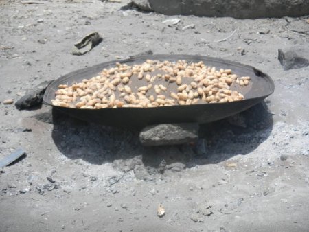 Bu Fıstık Lezzetini Kumdan Alıyor