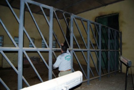 Bu hayvanların kışlık menüleri özel, ısıtma sistemleri güzel