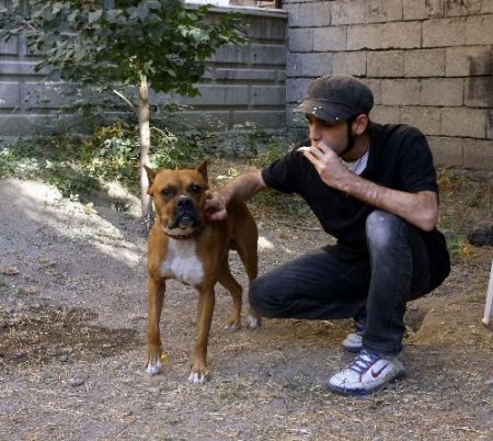 Bu Köpek Mızıka Sesiyle Uluyor