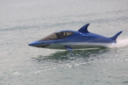 Bu köpekbalığı ısırmıyor!