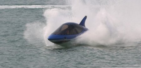 Bu köpekbalığı ısırmıyor!