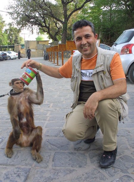 Bu Maymun Hem Eğlendiriyor, Hem Kazandırıyor