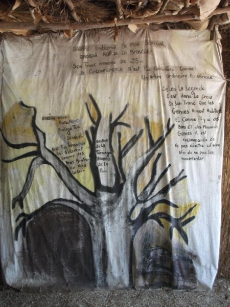 Bu Meyvenin Adına Aldanmayın; Hem C Vitamini Hem De Kalsiyum Deposu