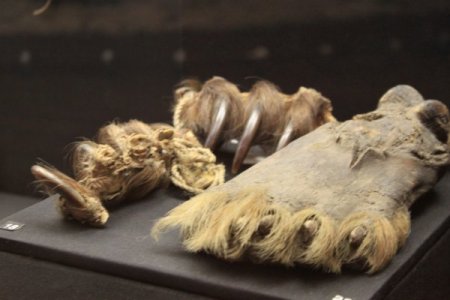 Bu müzede tüm dinler bir arada (Özel)