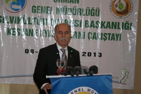 Bu sene 100 bin kestane fidanı toprakla buluşacak