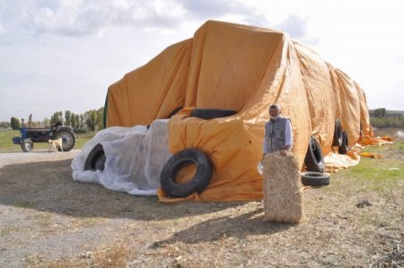 Bu yıl samana yatırım yapan kazandı