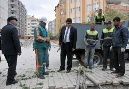Budanan Ağaç Dalları İhtiyaç Sahiplerine Veriliyor