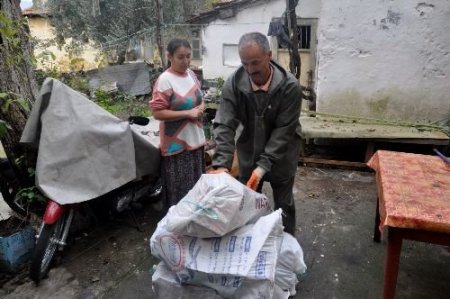 Budanan Ağaçların Dalları Fakirlere Yakacak Olarak Dağıtılıyor