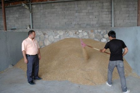 Buğday Geçen Yıla Göre Yüzde 50 Zamlandı