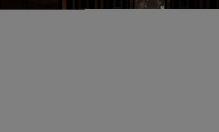 Bülent Arınç, nikah şahidi oldu