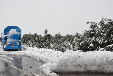 Bulgaristan’a Geçişler Başladı