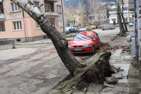Bulgaristan'da şiddetli fırtına: 2 ölü