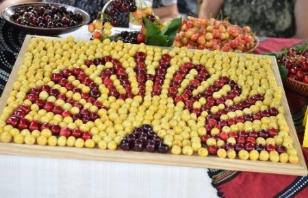 Bulgaristan'daki kiraz bayramı renkli görüntülere sahne oldu