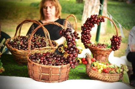 Bulgaristan'daki kiraz bayramı renkli görüntülere sahne oldu