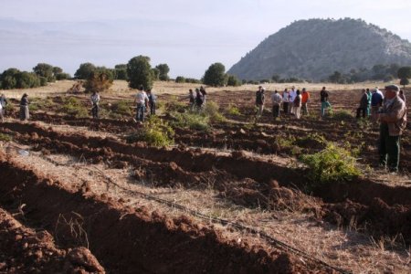 Burdur Gölü'nde su çekilmesinin önüne gül üretimiyle geçilecek