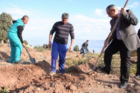 Burdur Gölü'nde su çekilmesinin önüne gül üretimiyle geçilecek