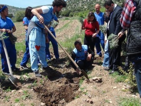 Burdur Gölü'ndeki çekilmeye lavanta çözümü
