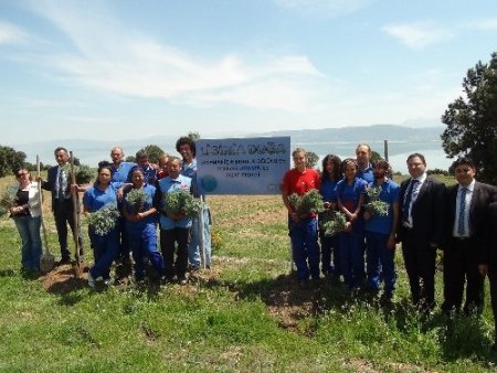 Burdur Gölü'ndeki çekilmeye lavanta çözümü