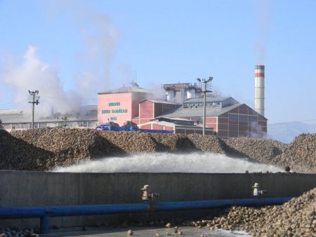 Burdur Şeker Fabrikası, Bu Sezon 604 Bin Ton Şeker Pancarı İşledi