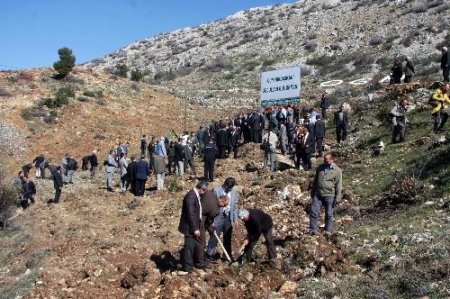 Burdur'da Cumhurbaşkanı Abdullah Gül Ormanı Oluşturuldu