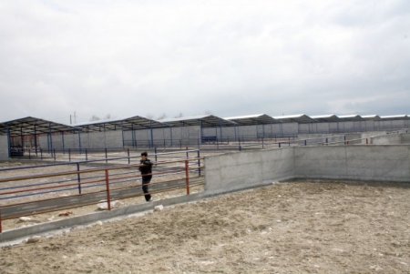 Burdur'da Hayvan Oteli Tamamlanıyor