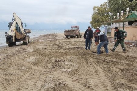 Burhaniye Belediyesi plaj temizliğine başladı