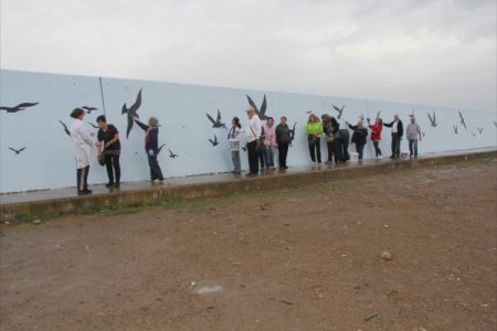 Burhaniye İskele Yat Limanı boyanıyor