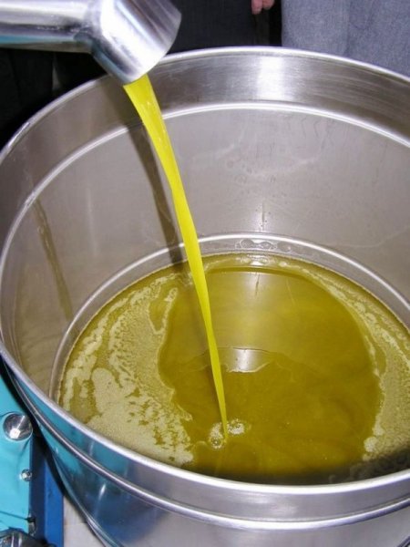 Burhaniye Ziraat Odası Başkanı Duman: Zeytinyağı En Kötü Dönemini Yaşıyor