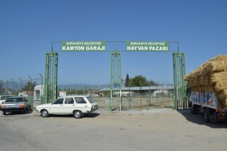 Burhaniye’de çiftçi Hayvan Pazarı’na kurbanlıkları getiremedi