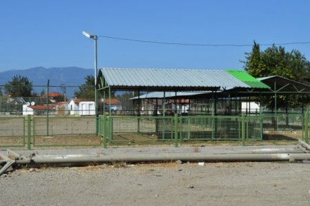 Burhaniye’de çiftçi Hayvan Pazarı’na kurbanlıkları getiremedi