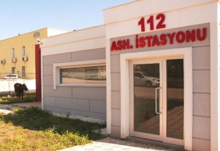 Bürokrasiye takılan 112 acil servis istasyonunun bahçesinde inekler otluyor