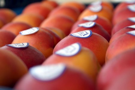 Bursa, 131 bin ton tarım ürünü ihraç etti