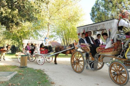 Bursa hayvanat bahçesi Türkiye’nin en büyüğü olacak