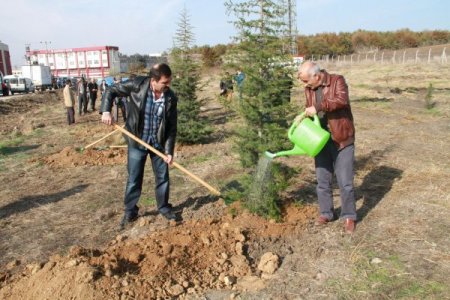 Bursa İhtisas Deri Organize Sanayi Bölgesi'ne 3 bin fidan dikildi