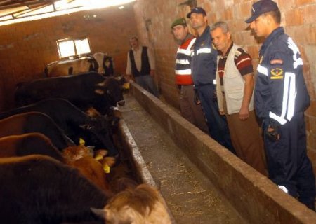 Bursa İl Jandarma Komutanlığı Hayvan Hırsızlarına Karşı Motorsikletli Tim Kurdu