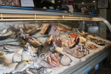 Bursa Tarım Müdürü Ömer Çelik uyardı: 2050’de balık stoğu tükenecek