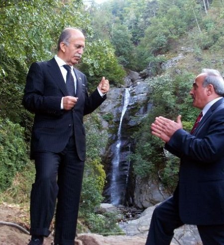 Bursa Valisi Harput: Türkiye'nin En Büyük Kent Ormanını Kuracağız