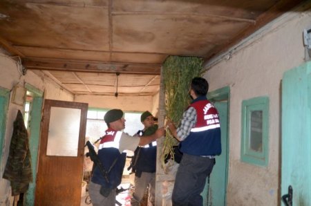 Bursa’da 4 bin 500 kilogram esrar ele geçirildi