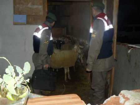 Bursa'da hırsızlık operasyonu: 4 kişi tutuklandı