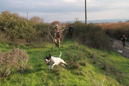 Bursa'da kaçak avcılara göz açtırılmıyor